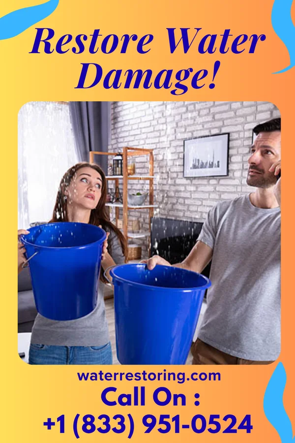 water restoration Prestige Water Cleanup Experts Red Lion
