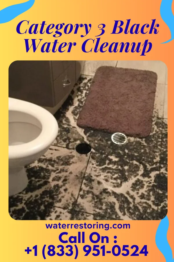 Category 3 Black Water Cleanup in Red Lion, PA