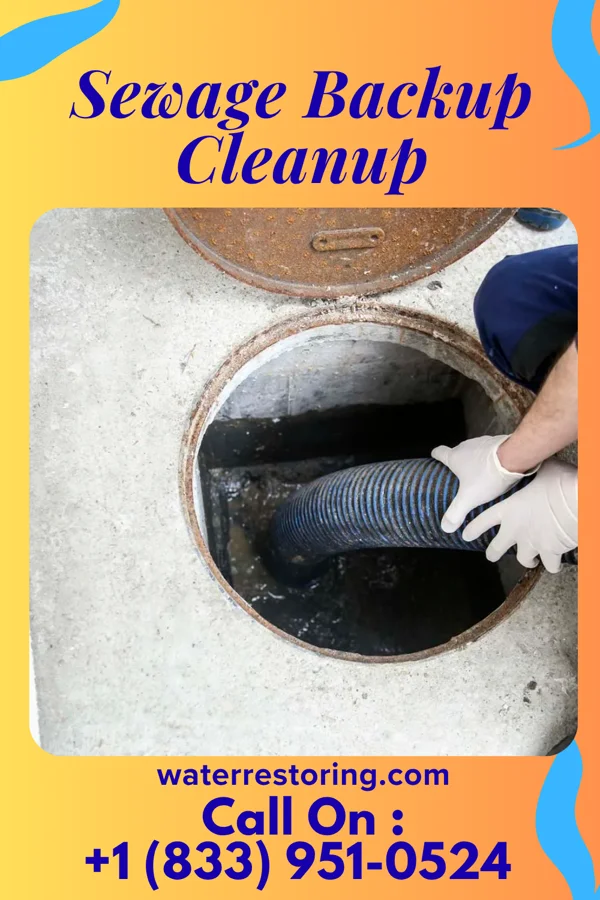 Sewage Backup Cleanup in Red Lion, PA
