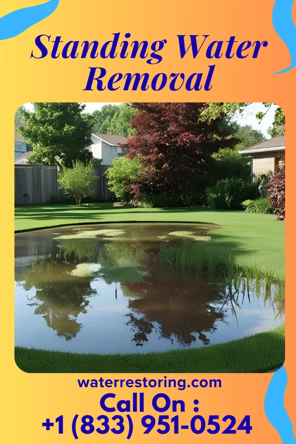 Standing Water Removal in Red Lion, PA